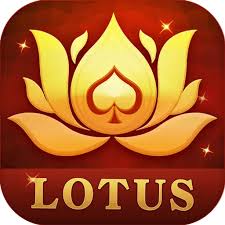 Teen Patti Lotus